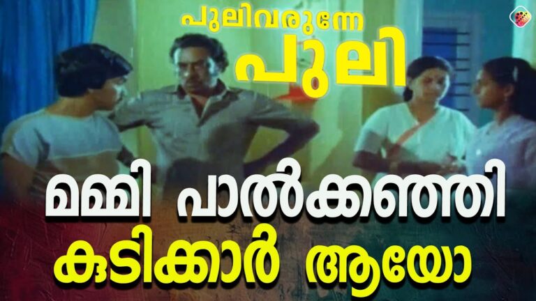 ഏത് നേരത്ത ഇതൊക്കെ ഉണ്ടായത്  Pulivarunnepuli | Mammootty